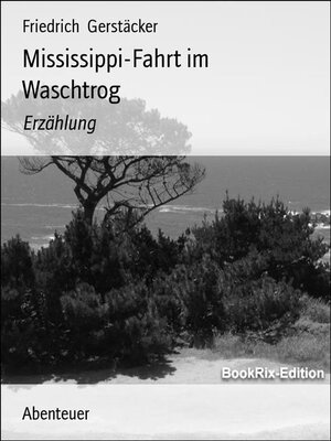cover image of Mississippi-Fahrt im Waschtrog
